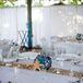 Starfish and Lantern Centerpieces