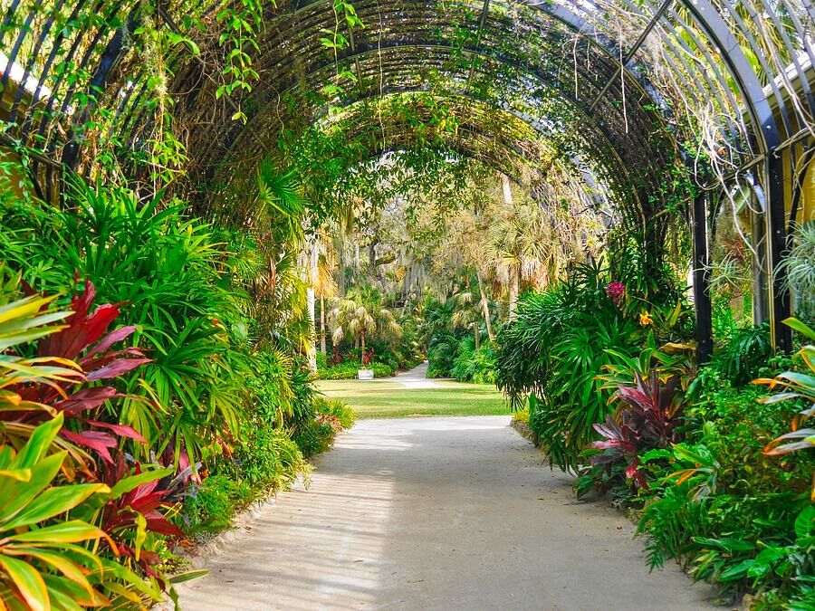 Picture of McKee Botanical Gardens