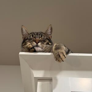 Gallery Photo 22
