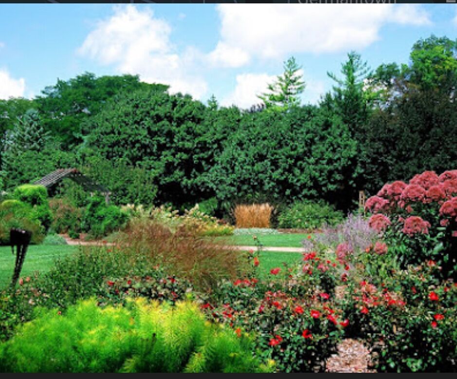 Picture of Luthy Botanical Garden