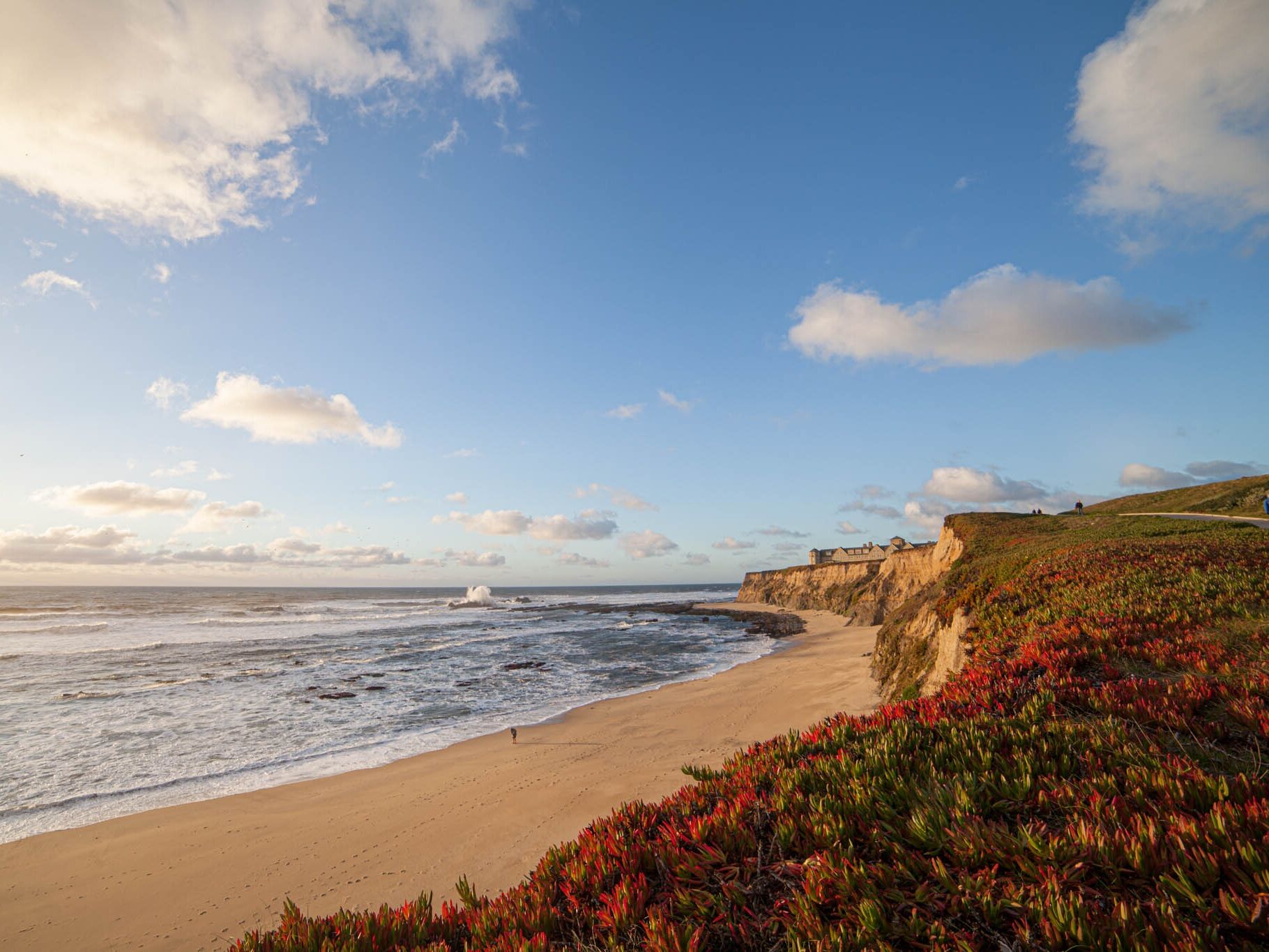 Picture of Half Moon Bay Beach