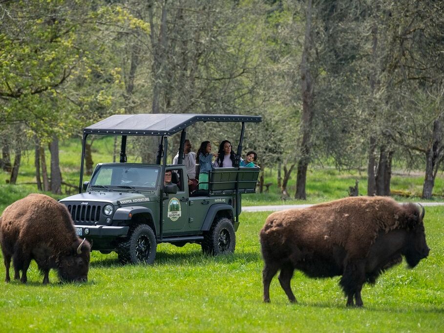 Picture of Northwest Trek Wildlife Park