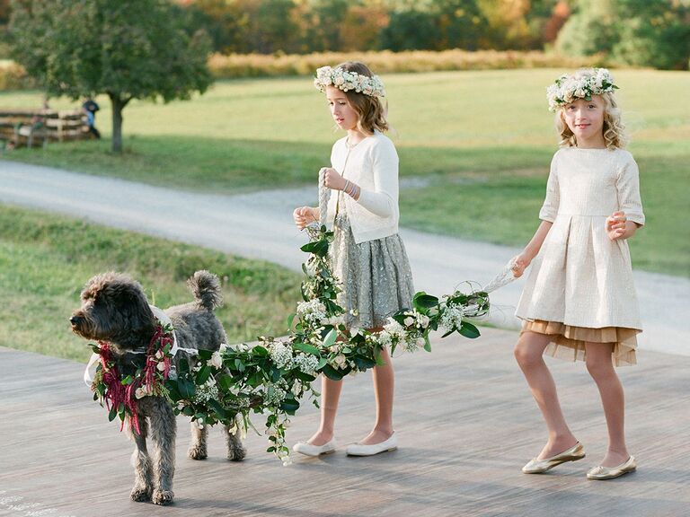 Wedding dogs with flower crown collars