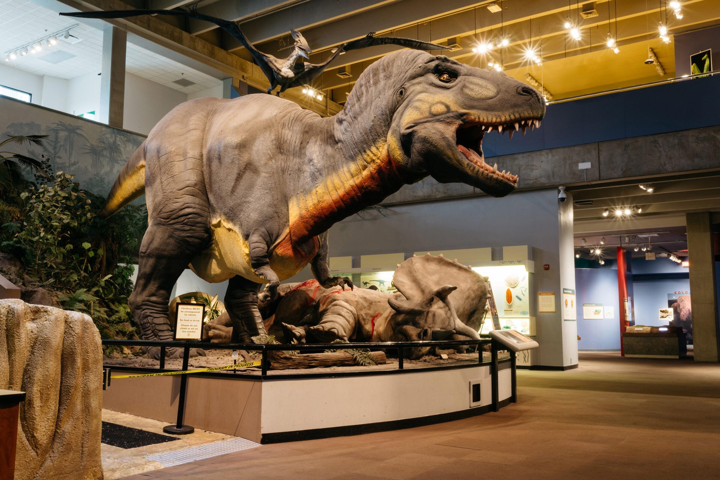 Picture of Saint Louis Science Center
