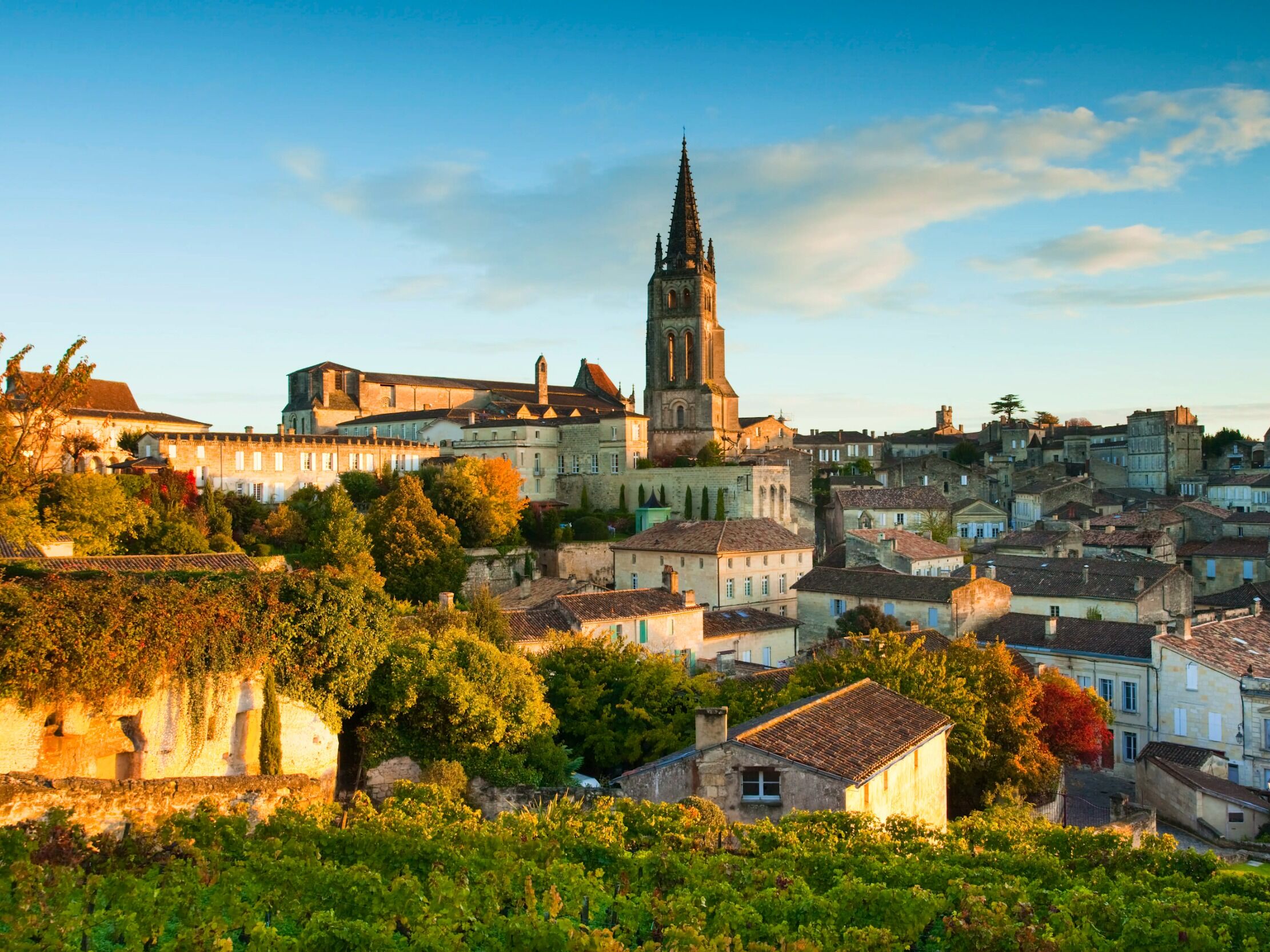 Picture of Saint-Emillion Town