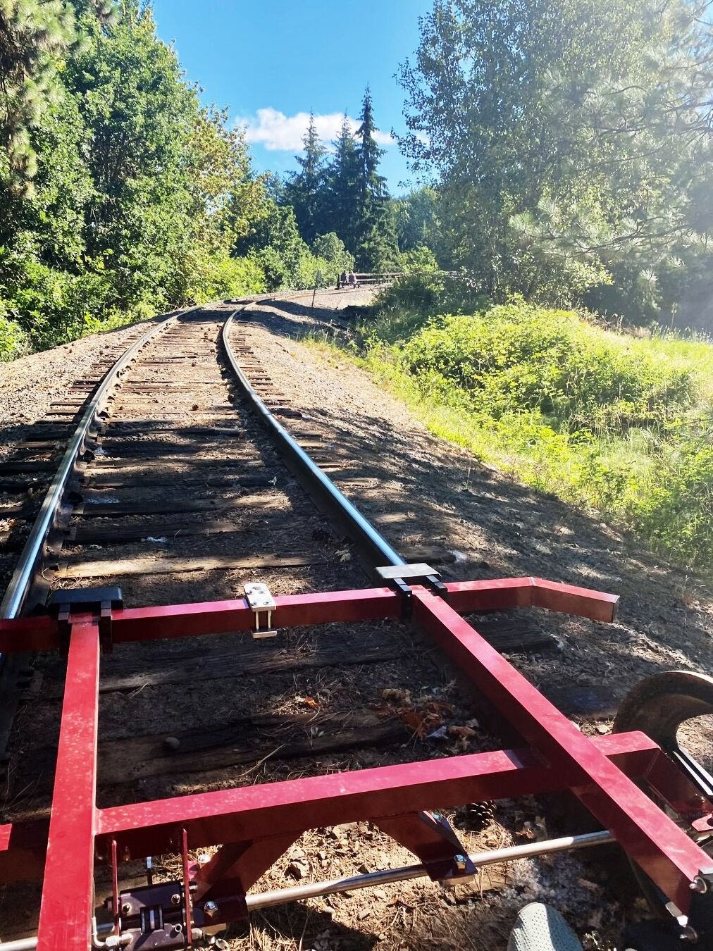 Picture of Mount Hood Railroad