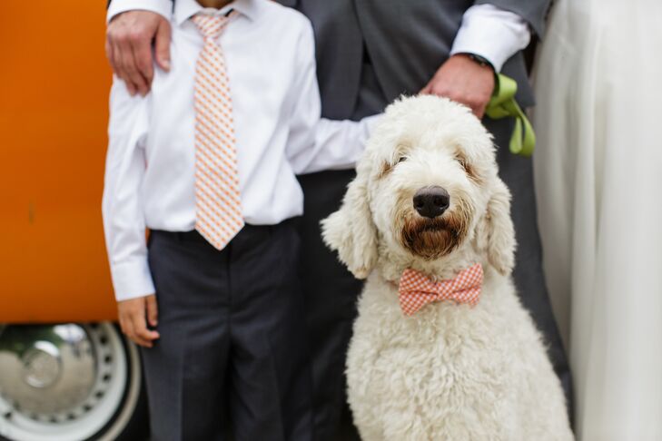 The couple's dogs each wore tie collars from the Etsy store, Silly Buddy.