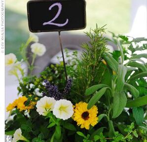 The Centerpieces
