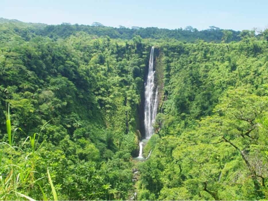 Picture of Papapapaitai Falls