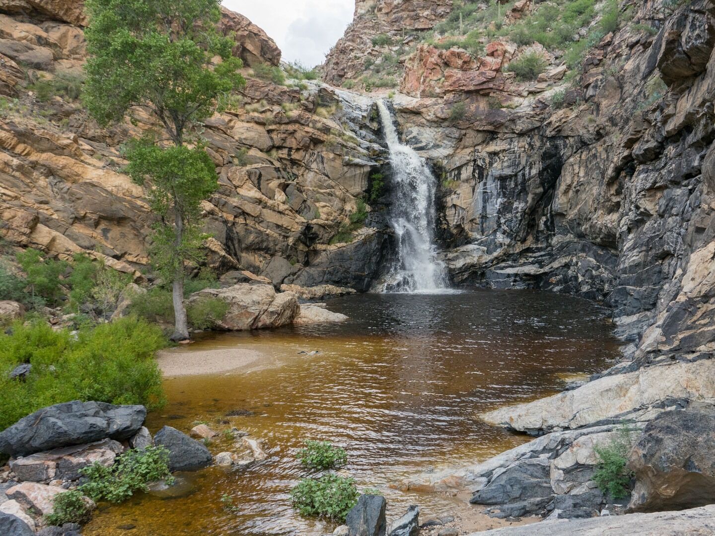 Picture of Tanque Verde Falls Trailhead