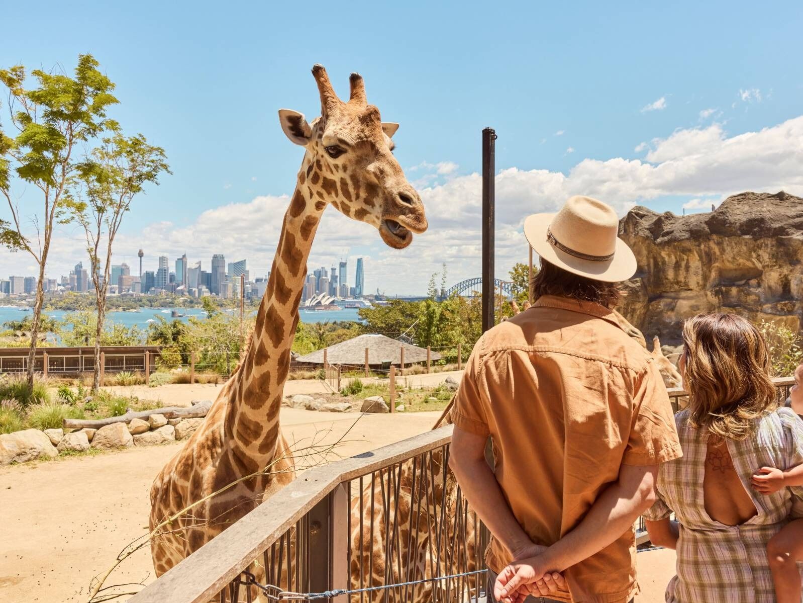 Picture of Taronga Zoo Sydney
