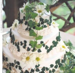 The Cake