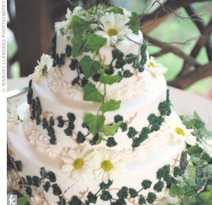 The Cake
