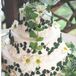 The Cake