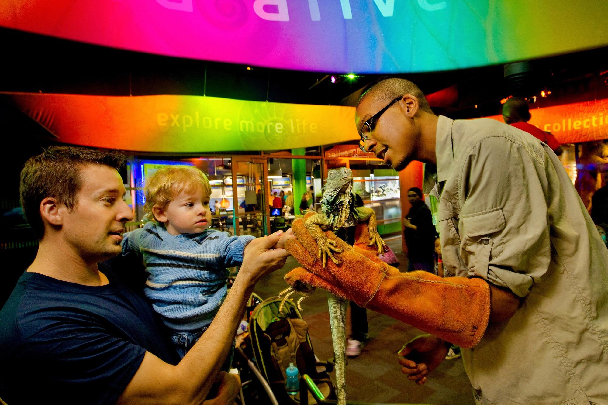 Picture of Discovery Place Science