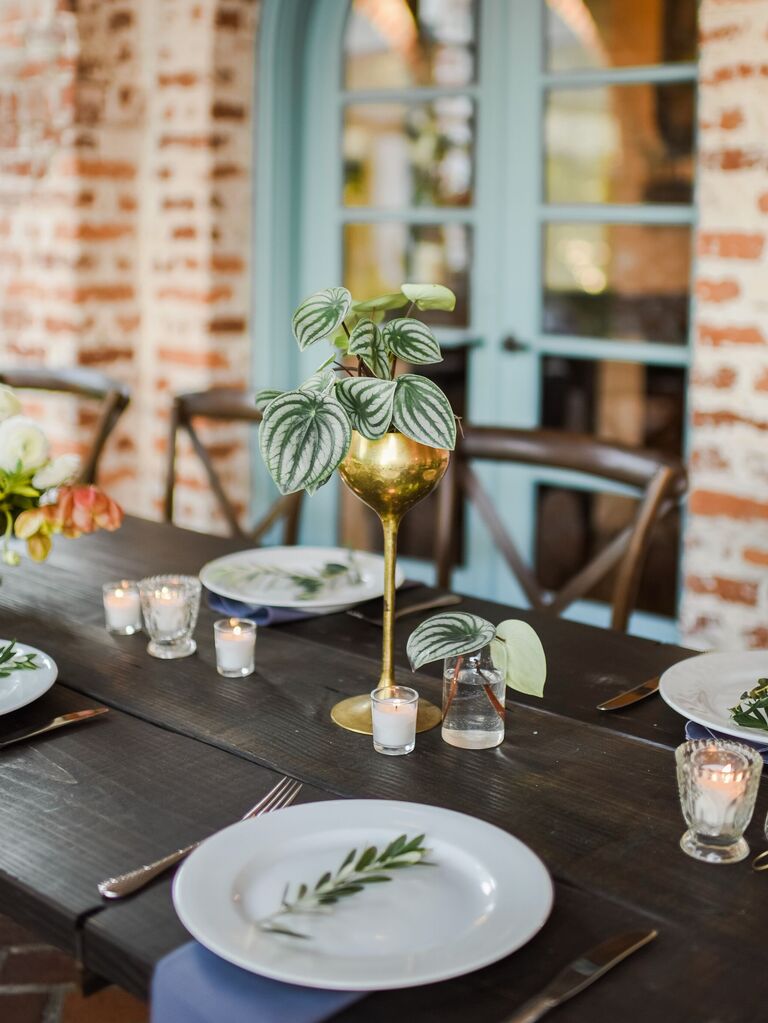 A leafy green centerpiece.