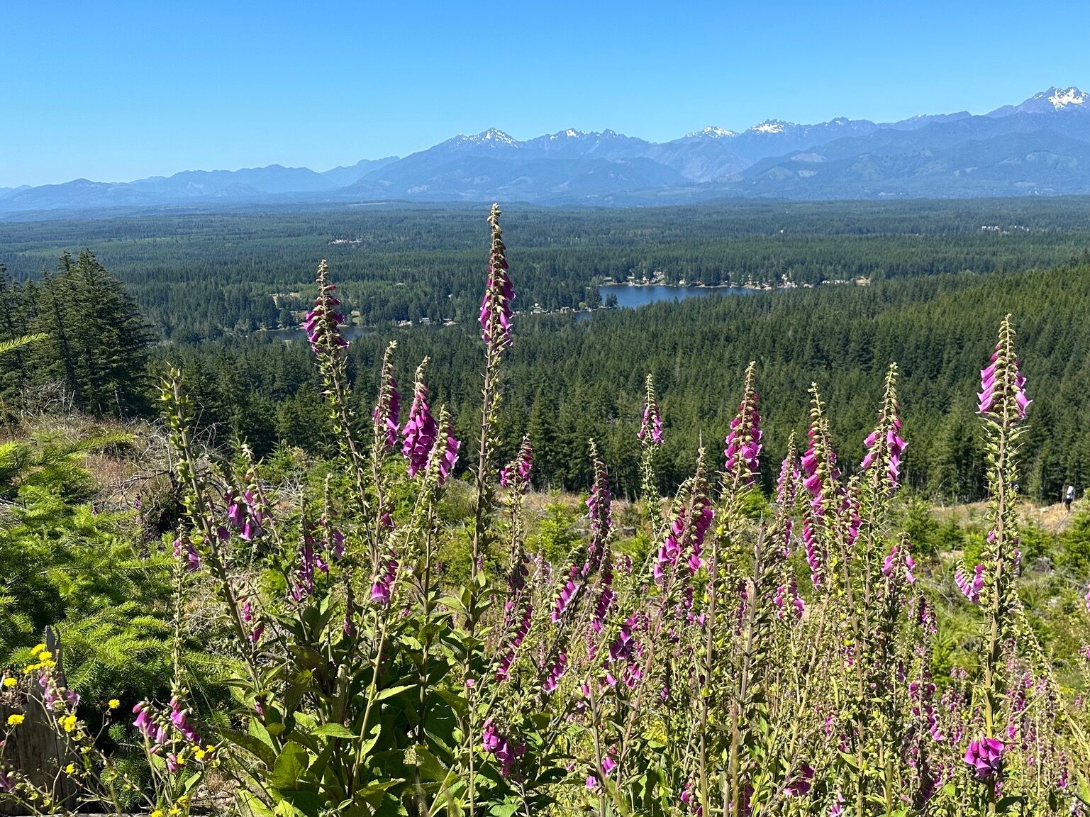 Picture of Gold Creek Trailhead, Green Mountain