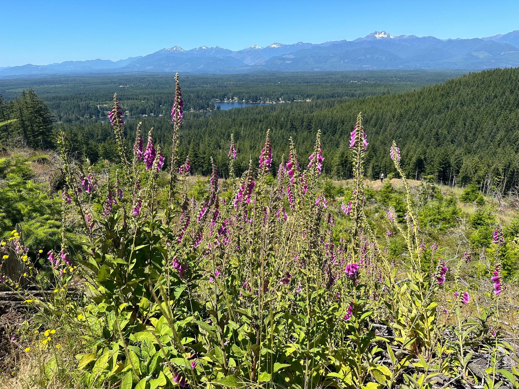 Picture of Gold Creek Trailhead, Green Mountain