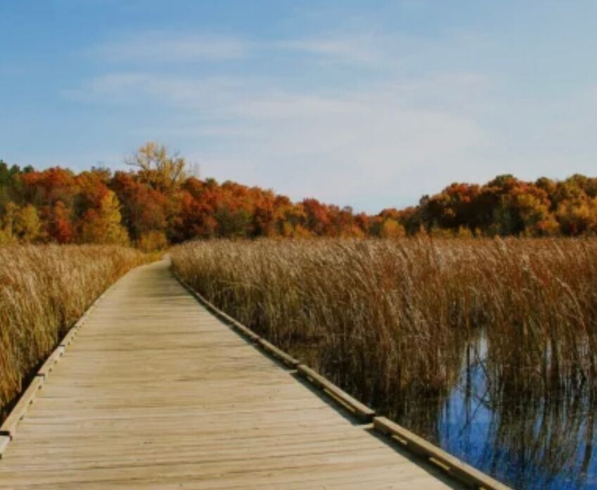 Picture of Bunker Hills Regional Park
