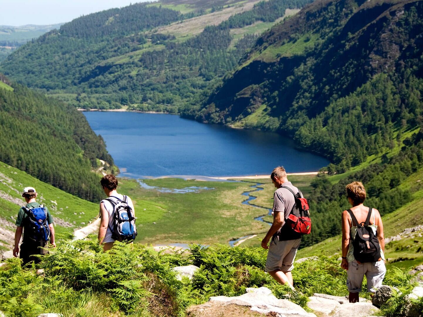 Picture of Wicklow Mountains National Park
