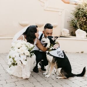 Couple Kissing Dog During Wedding at Casa Real at Ruby Hill Winery in Pleasanton, California
