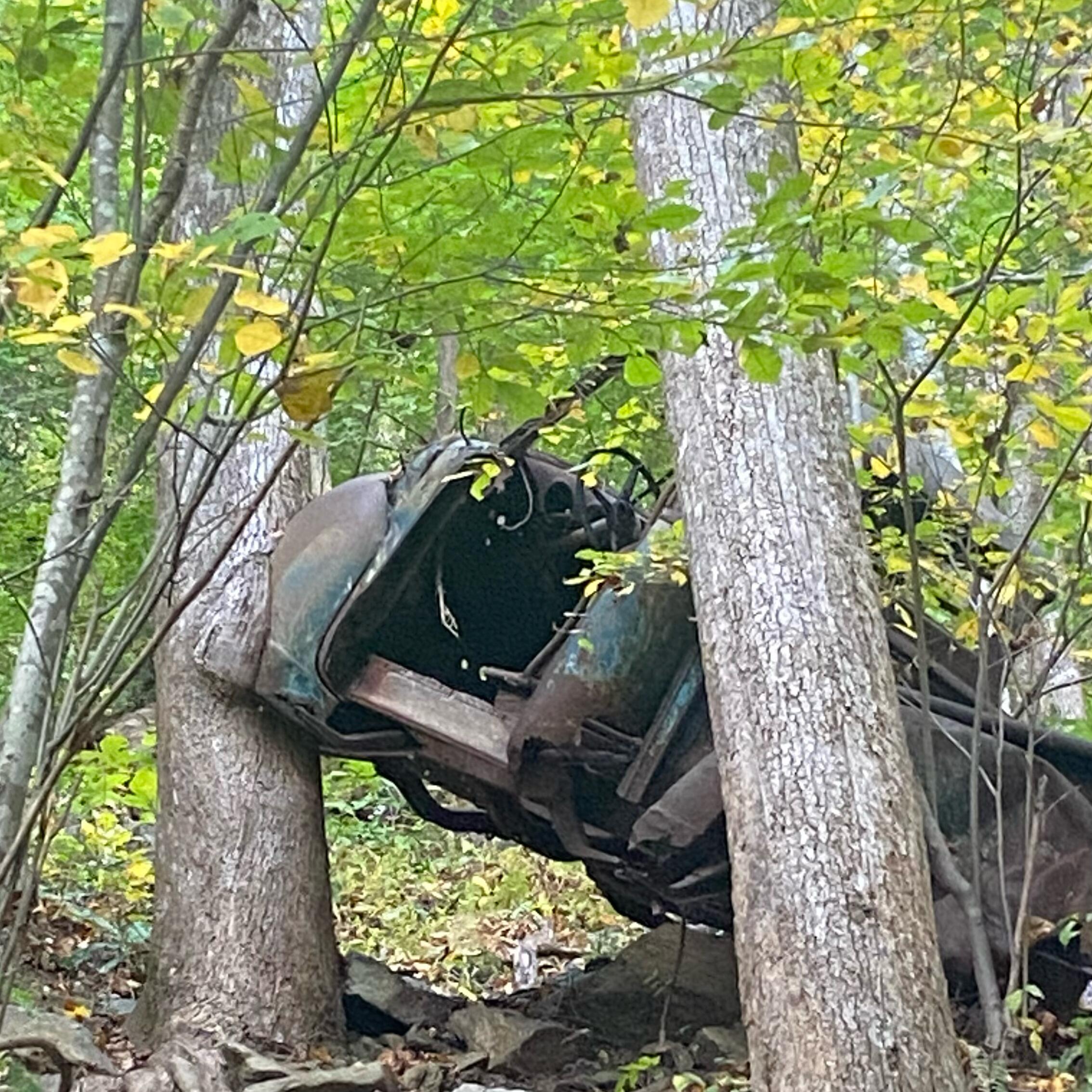 Picture of Amicalola Falls