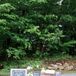 Ceremony Welcome Table With Pom-Pom Banner