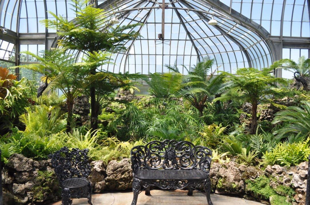 Picture of Belle Isle Conservatory