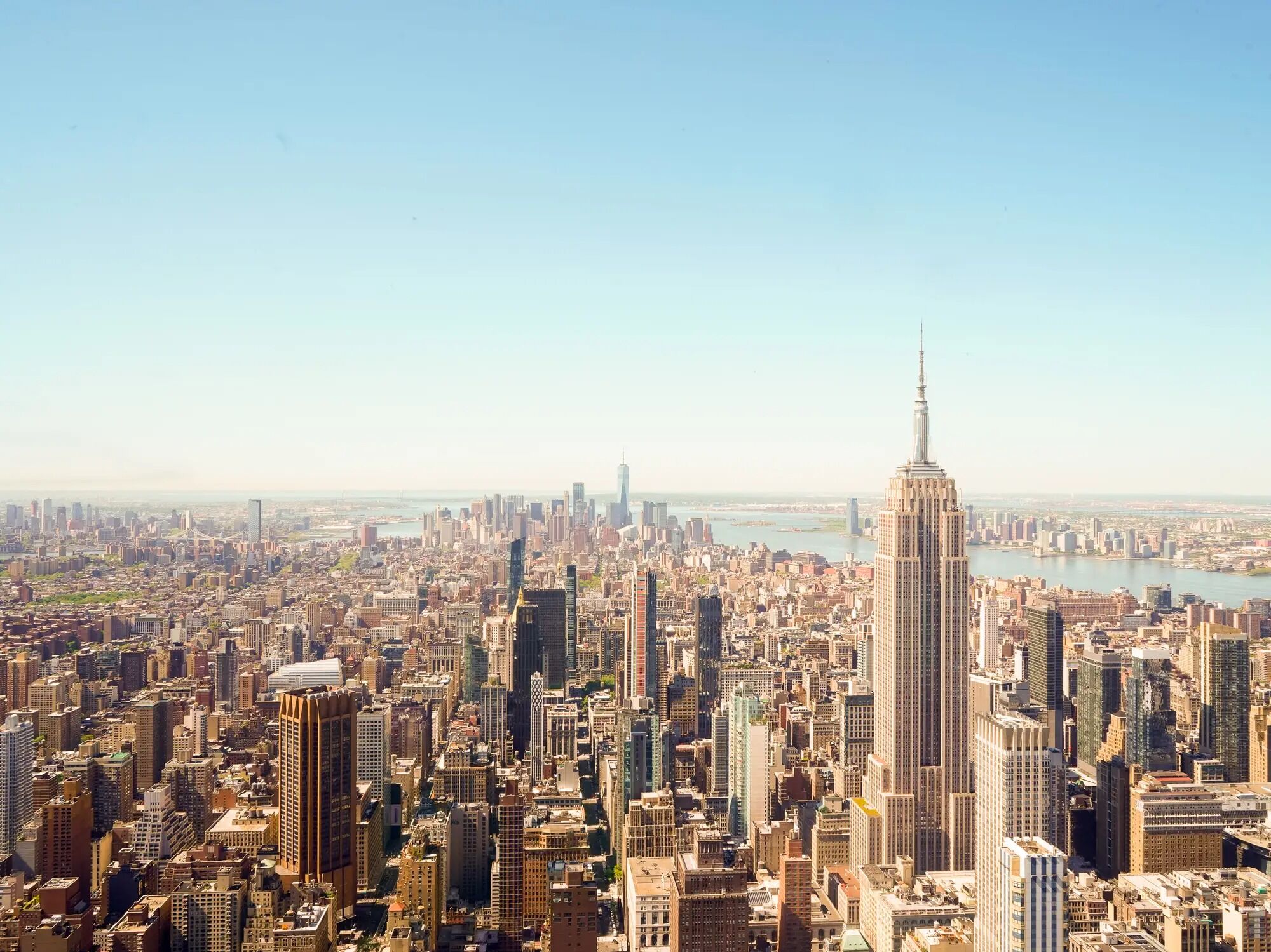 Picture of The Standard Guide to NYC