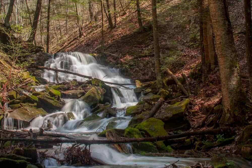 Picture of Oil Creek State Park