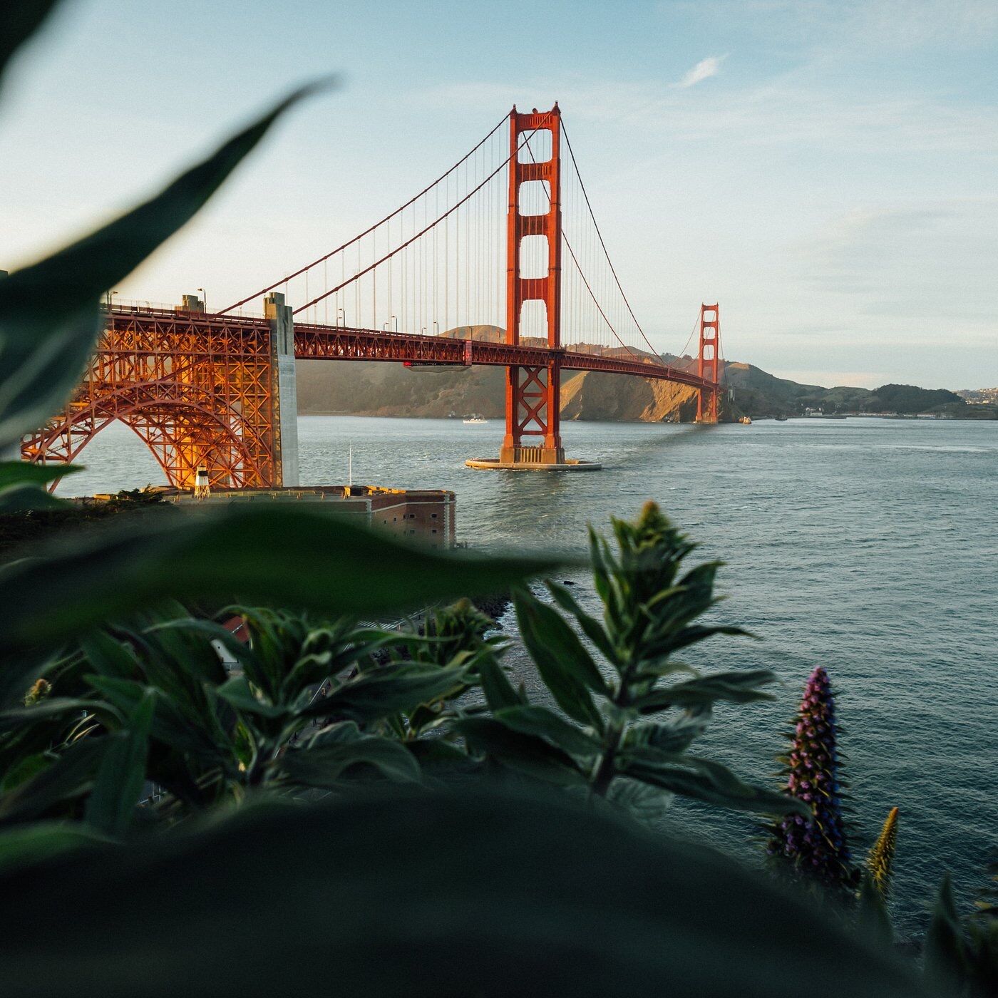 Picture of San Francisco 