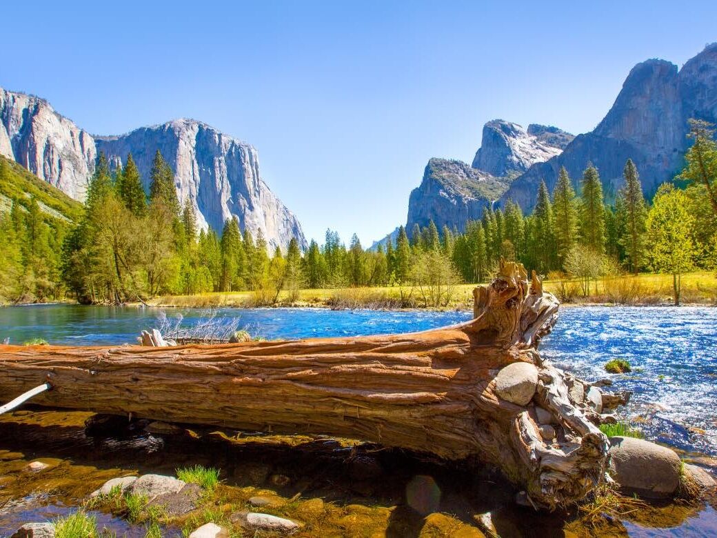 Picture of Sequoia & Kings Canyon National Parks