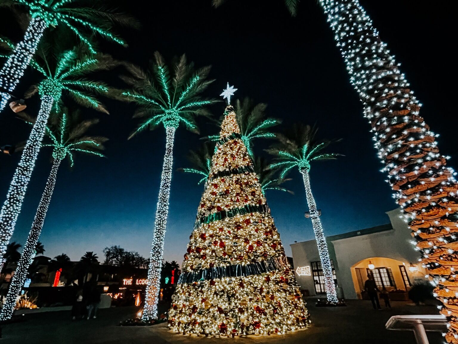 Picture of Christmas at the Princess