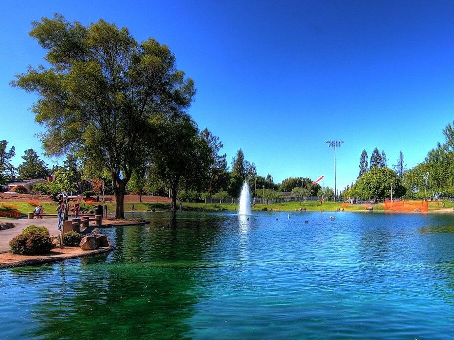 Picture of Cupertino Memorial Park
