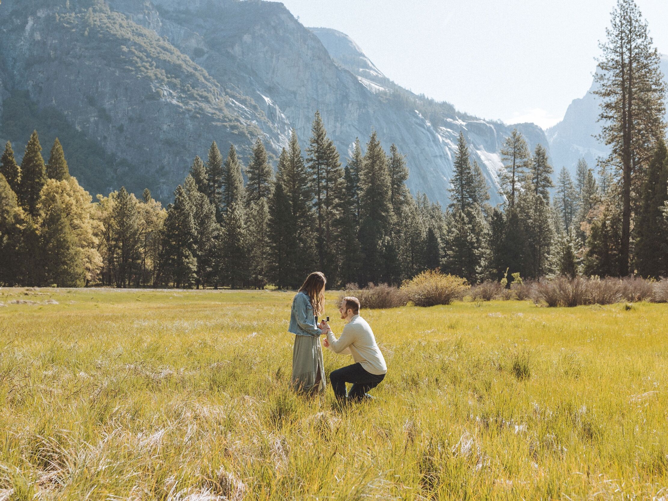Picture of Trip to Yosemite National Park and San Francisco