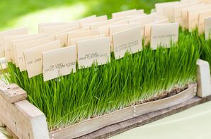Escort Cards on Grass Display