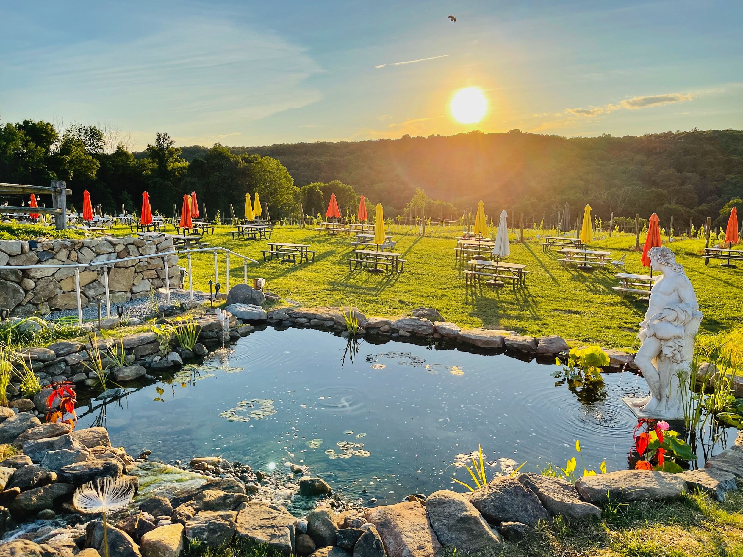 Picture of Aquila's Nest Vineyards