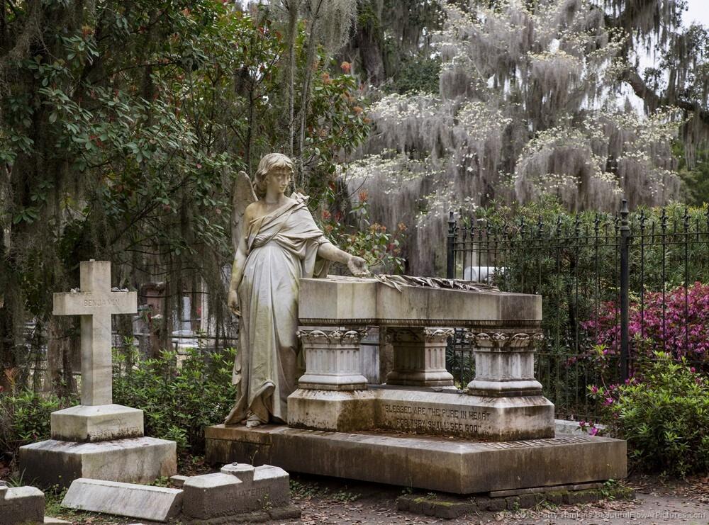 Picture of Savannah Ghost Tours | Ghost City Tours