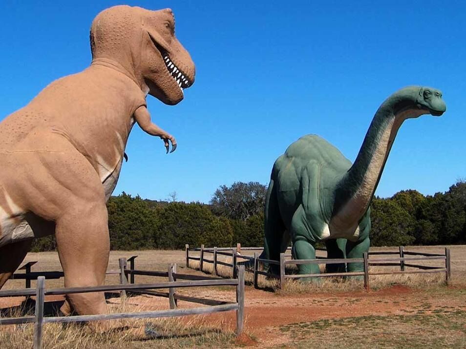 Picture of Dinosaur Valley State Park