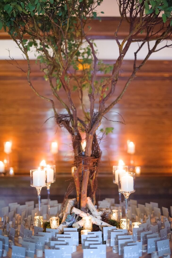 Natural Tree Escort Card Table