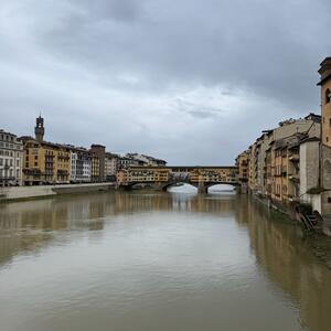 Gallery Photo 29
