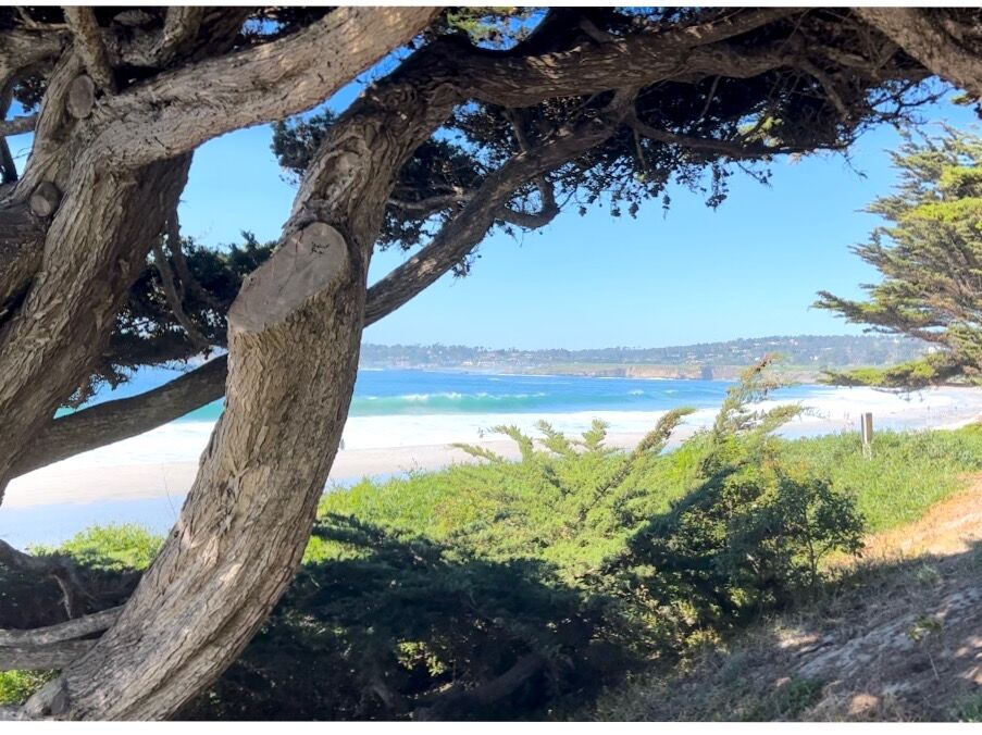 Picture of Carmel Beach