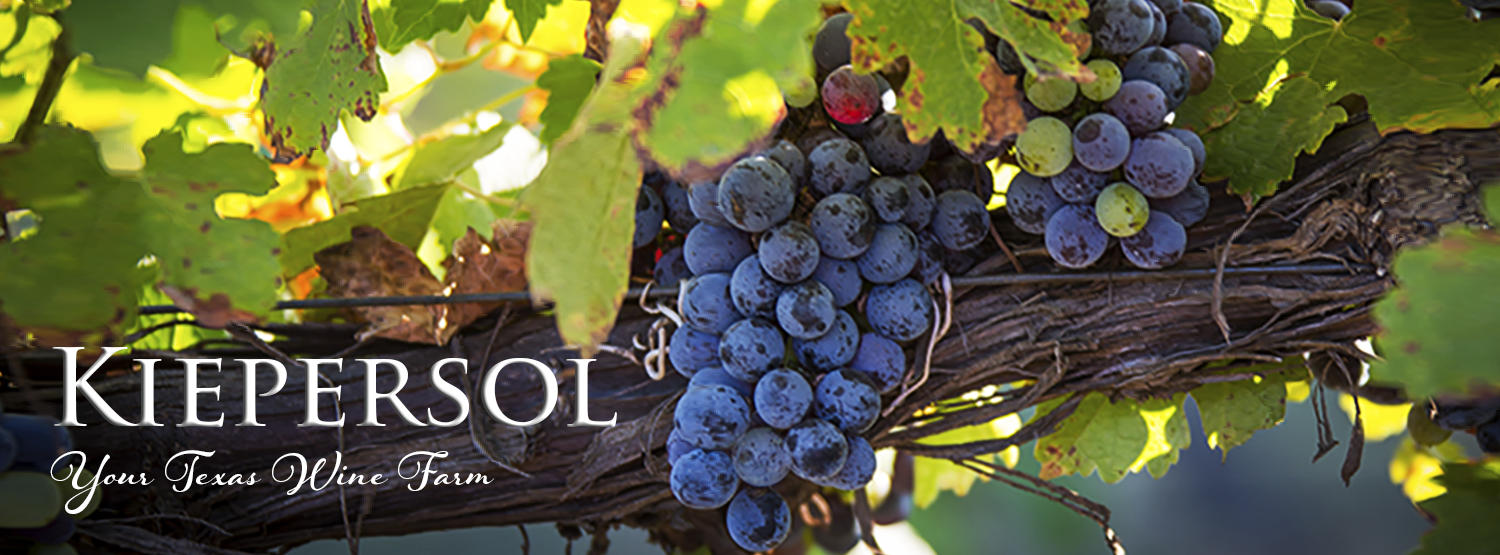 Picture of Kiepersol Estates Winery