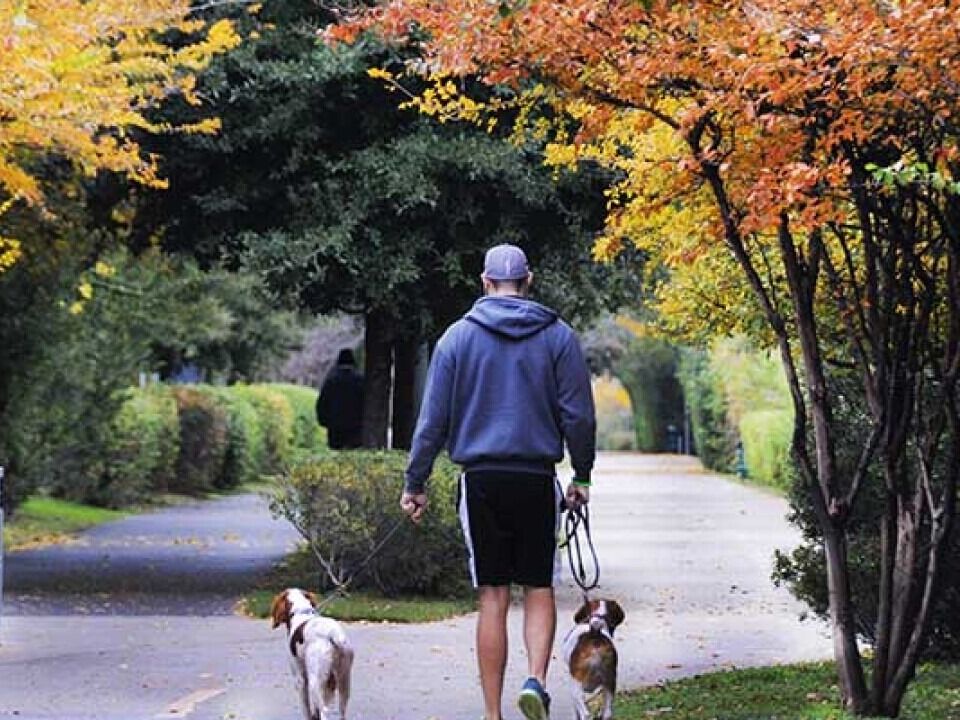 Picture of The Katy Trail 