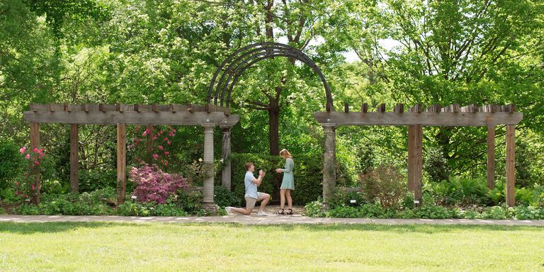 Will & Audrey Home Page Banner