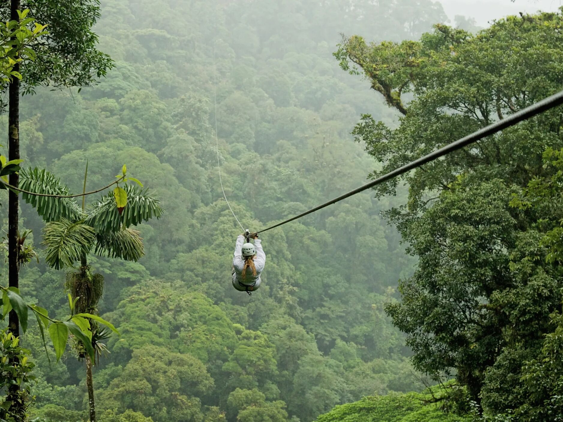 Picture of Toro Verde Adventure Park