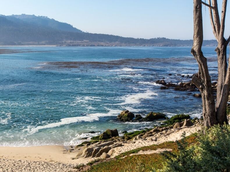 Picture of Explore the Central Coast