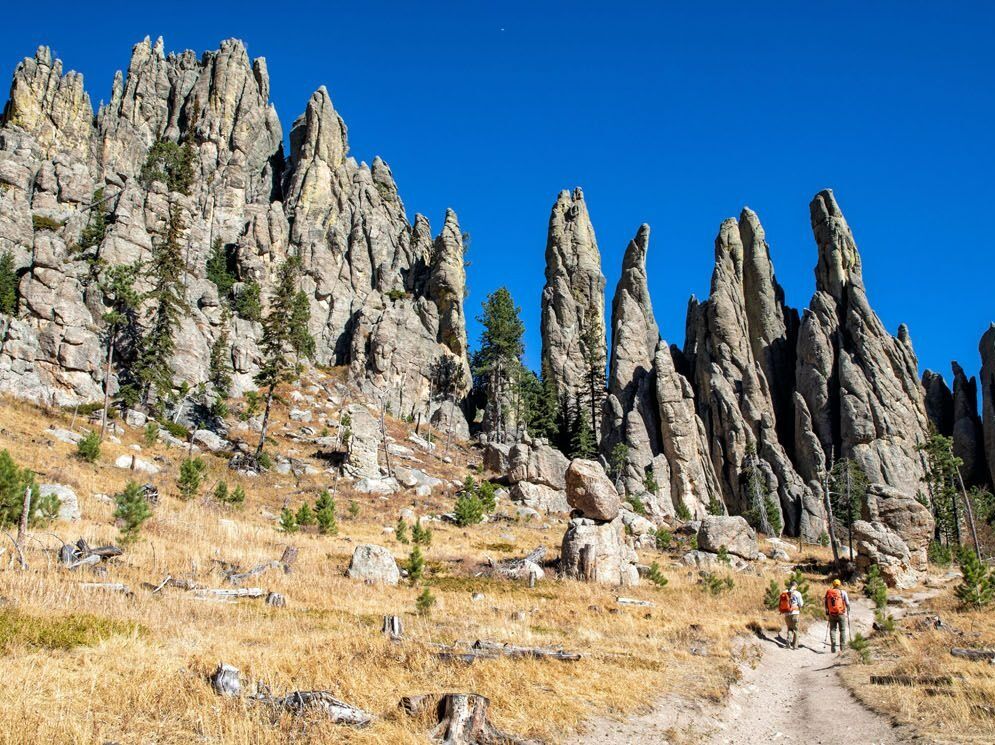 Picture of Custer State Park