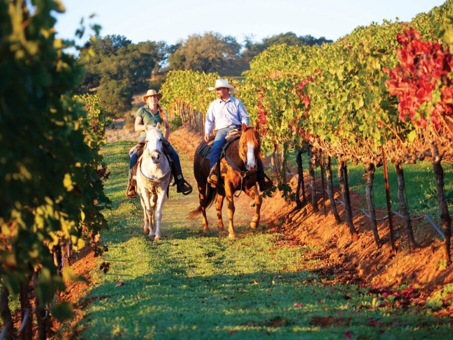 Picture of Horseback riding in the hills