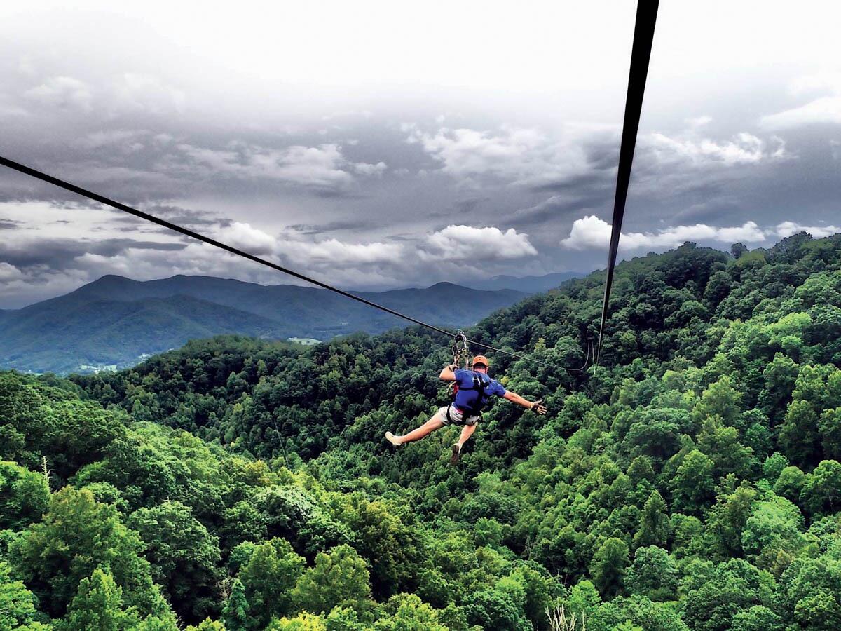 Picture of Navitat Canopy Adventures